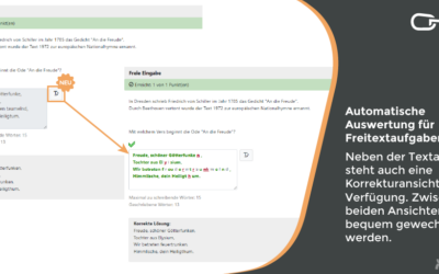Korrekturansicht für die Freitextaufgabe